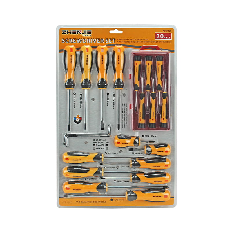 20pcs Pembungkusan Lepuh Berganda Set Phillips dan Pemutar Skru Torx Slotted