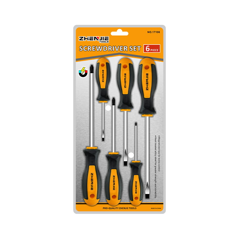 6pcs Double Blister Packaging Slotted & Phillips CRV Skru Set